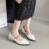 2025 New  French Pointed Toe Mary Jane Single Shoes Women's 2025 Fall New Shallow Mouth Block Heel Pump Shoes