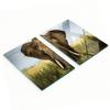 Durable and Stylish Glass Kitchen Boards with Elephant Savannah Pattern 2x40x52 Cm