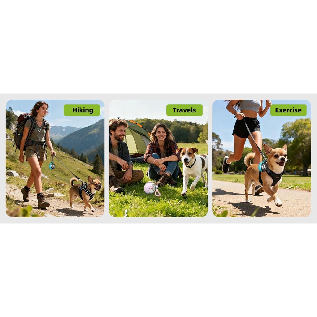 2‑in‑1 Leak‑Proof Compact Portable Dog Travel Water Bottle, Stainless Steel Pet Drink Bottle for Small Dogs with Silicon