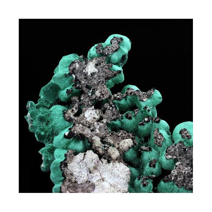 Pierres et Minéraux. Malachite. 2537.0 ct. Milpillas Mine, Sonora, Mexique.