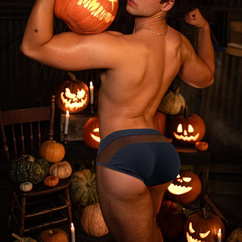 Men's Quick-Dry Thong: Transparent Mesh, Low-Waist, Double-Layer Cotton Crotch Underwear