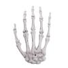 Hand Bone Realistic Skeleton Hand Plastic Plastic Fake Human Hand Bone  Party