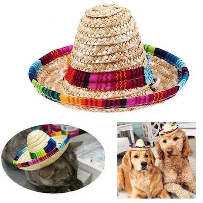 Roupa e sapatos – Chapéus para cães