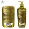 Schwarzkopf Ginger Anti-Dandruff & Oil Control Shampoo