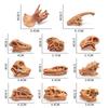 Highquality Dinosaur Realistic Skull Model For Childrens Development Cognitive