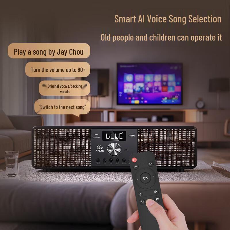 Home KTV Karaoke Audio System CN Plug (adapter Included)