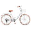 Flying Pigeon City Commuter Bicycle
