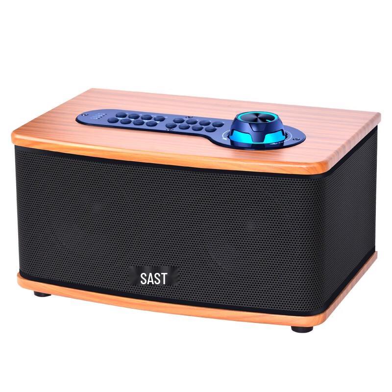SAST SW-10 Wireless KTV Karaoke Speaker System