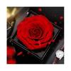 Rose Box, Infinity Rose Jewelry Gift Box, Real Rose Red, Rose Gift Kit
