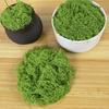 30/100G Artificial Green Moss DIY Crafts Indoor Plants Fairy Gardens Table Centerpieces Fish Tanks Microlandscape Decorative Fake Moss