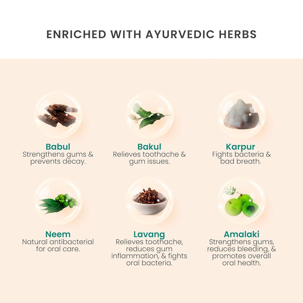 Vedistry Gumcare Gel Toothpaste 50 Gm X Pack of 3 for Natural Gum Strength, Oral Wellness & Sensitivity Protection