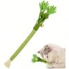 1 Stück Realistisches Sellerie & Silberwein Katzenspielzeug mit Glocke, Strapazierfähiges Kauspielzeug für Haustiere