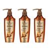 Ingwer-Essenz Beruhigendes Shampoo (3x600ml)