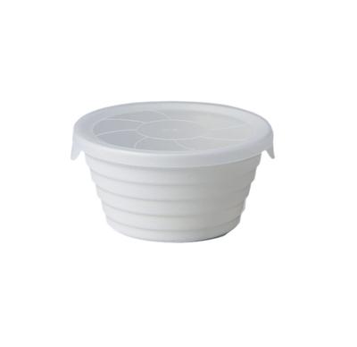 TAMAKI Coat Age Plus Coat Antibacterial and Clean 5 Colors Deli Box S Size 270ml Microwave Safe Dishwasher Safe White Ag+ T-938867