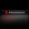 2026 Heißer Autoaufkleber Auto Dekorative Leuchte LED Fronthauben-Kühlergrill-Emblem Abzeichen Dekoration für Peugeot 206 307 308 3008 207 208 407 408