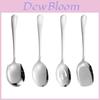 Stainless Steel Serving Spoon With Long Handle For Restaurant And Home Use