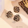 Fashion for Women Jewelry Retro Geometric Leopard Print Circle Disc Fashionable Design Earring Ring Set