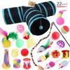 Pet Cat Toy Set 21 Pieces Cat Channel Teaser Cat Stick Plush Mouse Combination Toy