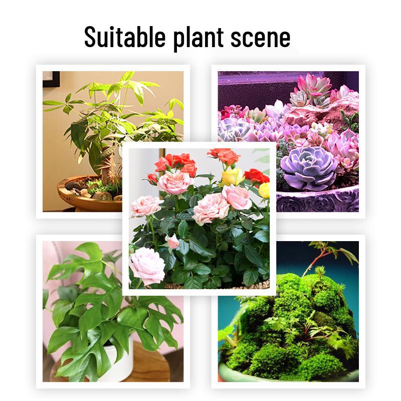 Floor-Standing Indoor LED Grow Light for Succulent and Green Plants - Full Spectrum COB