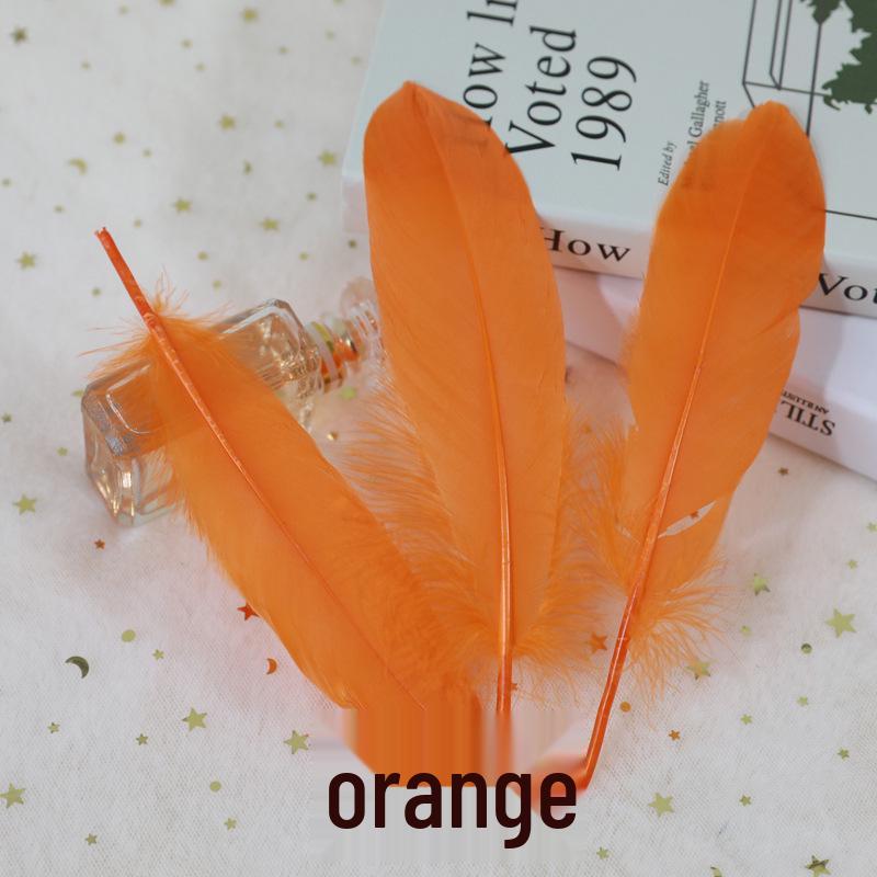 Barevná barvená velká husí pera pro DIY řemesla, ručně vyráběné dekorace a projekty pro mateřské školy