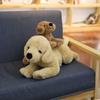 40cm 80cm Symulacja Labrador Pluszowa zabawka Wypchana Realistyczna Pies Zwierzęta Zabawka Miękka Poduszka Pies Poduszka do przytulania Poduszka z wiadomością Prezent do biura dla niej