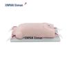 XINMAN Medical Simulation Training Models