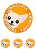 Staring Chihuahua Smooth Cream & White Dog Sticker Orange Back