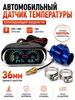 Electronic Thermometer