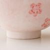 Hand-painted Cherry Blossom Tureen Pink Ladies Gaiwan Chinese Kung Fu Teaware Set Tea Brewer Bowls Teacup Drinkware Tea Ceremony