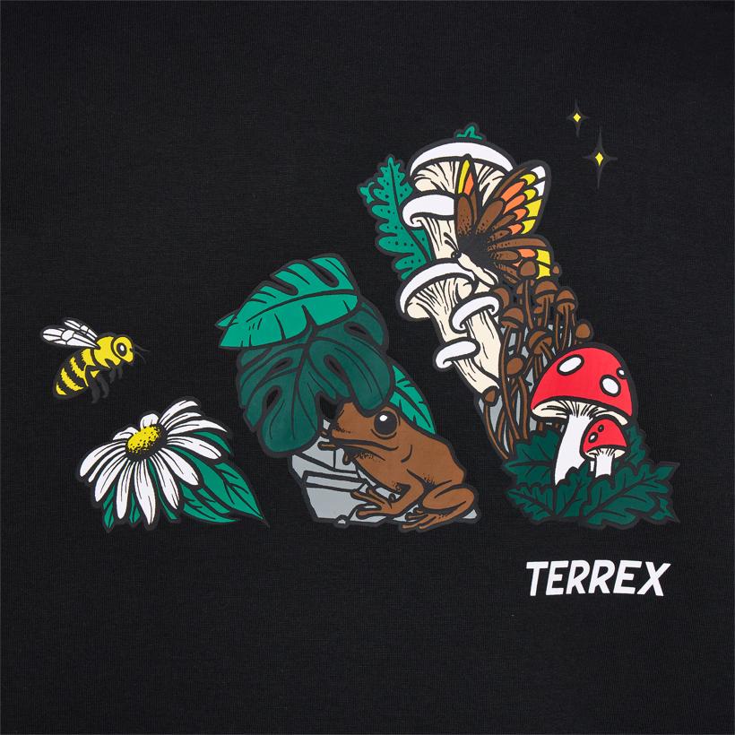 Adidas Terrex XPLORIC NATURE T Shirt Unisex KG3848