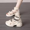 Sandals women's summer wear 2025 new platform Roman shoes fairy style with skirt thick heel beach cool slippers