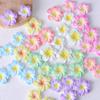 Frangipani Harzblume DIY Schmuck: Schlüsselanhänger, Anhänger, Haarspangen und Aufnäher