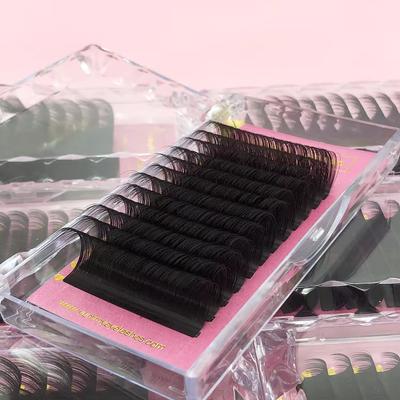 Koreanische Pbt Seiden Wimpernverlängerungen 0.03 0.05 0.07 Russian Volume Wimpernverlängerung Klassische Wimpernverlängerung Schalen