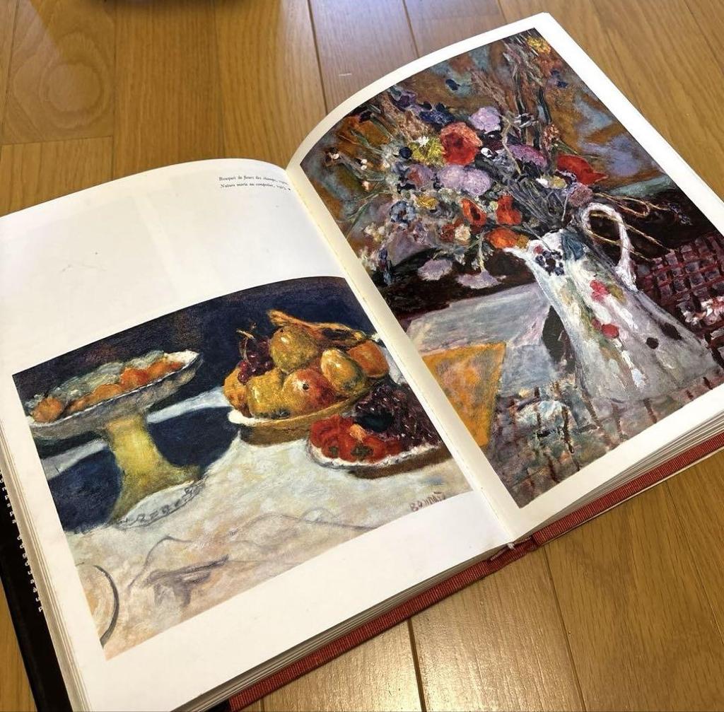 [USED] Bonnard Pierre Bonnard Art Book Gallimard 1967