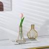 Retro Iron Art Vase Nordic Styles Hydroponic Flower Vase Black Gold  Glass Test Tube Metal Holder Geometric Line Frame Vases