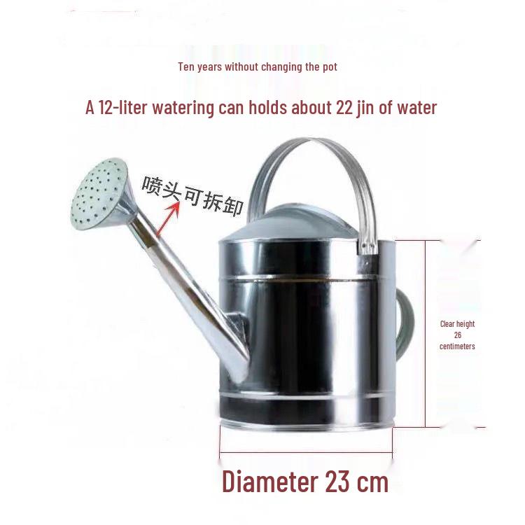 Tin Watering Can: Large Capacity for Vegetables & Flowers, with Spray Nozzle