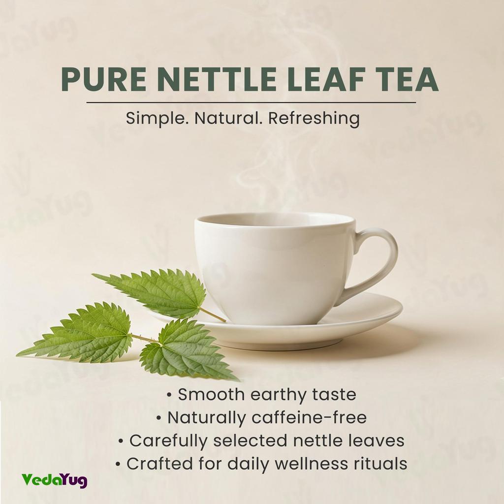 VY VedaYug Nettle Leaf Tea 40 Tea Bags/Himalayan Stinging Nettle Dried / 100% Natural & Pure Herbs - 40 Pec