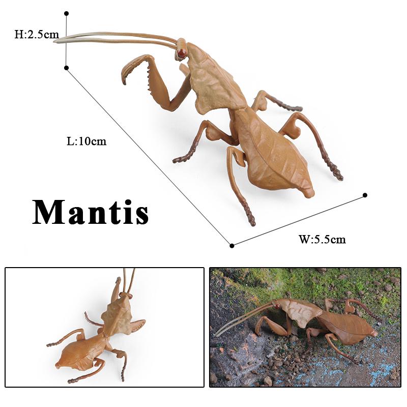 Oenux Wild Insect Animals Model Mantis Grasshopper Butterfly Bee Beetle Action Figures PVC Science Education Collection Kid Toy