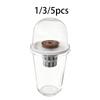 Kit Vaso per Coltivazione Idroponica Set Completo per Germinazione Piante per Balcone Lattuga Barbabietola Colza Prato e Giardino Didattica