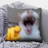 Funny Cat MMeMe  Pillow Covers Home Sofa Cushion Covers and Aecorative Custom