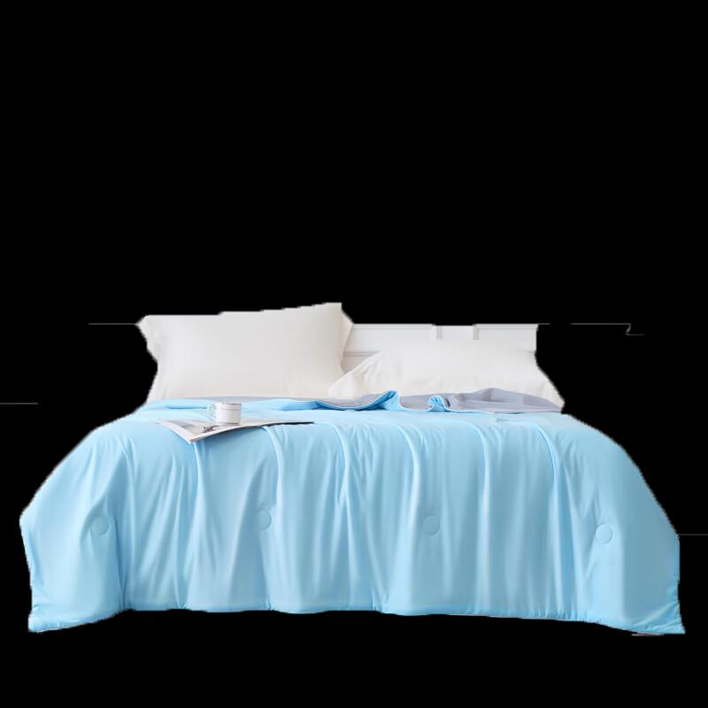 Piert Paul Cooling Silk Summer Quilt