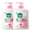 Moisturizing Antibacterial Hand Wash