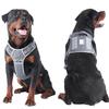 Dog Vest Adjustable Training Harness for Training Walking Belt for Large Medium Small Dogs Rope Multicolored
