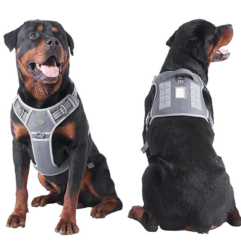 Dog Vest Adjustable Training Harness for Training Walking Belt for Large Medium Small Dogs Rope Multicolored