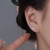 2024 Hot-Selling Hong Kong Style Zircon Earrings: Light Luxury, Niche Design for Girls