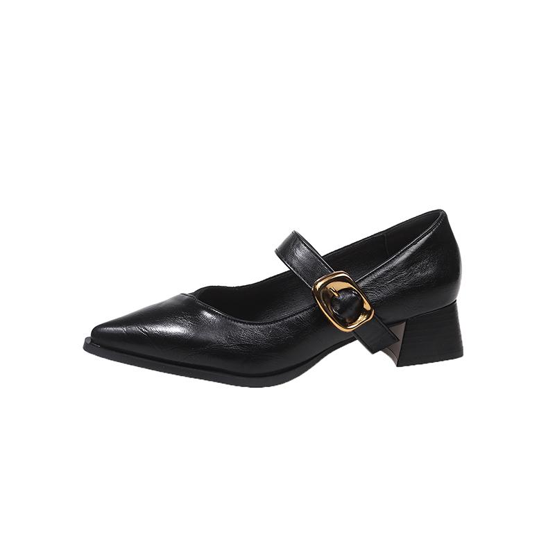 Pointed Toe Mary Jane Shoes Women's Spring New Vintage Versatile Block Heel One Strap Shoes