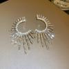 High-end Elegant Live Internet Celebrity Elegant Earrings Fashion Exaggerated Stylish Tassel Niche Earrings