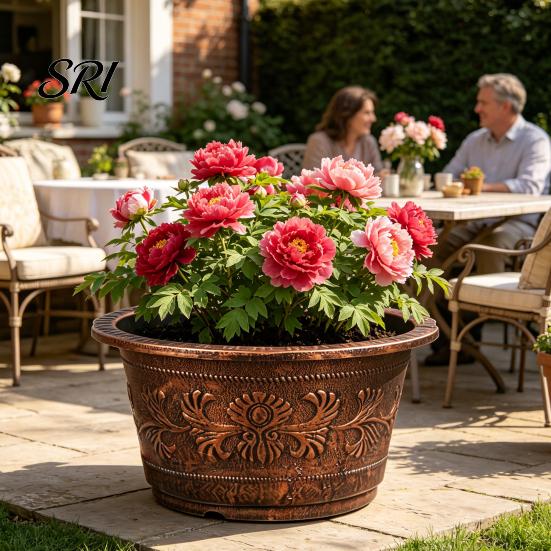 Bronze Embossed Flower Pot Thickened Resin Decorative Planter with Drainage Holes Impact Resistant Plant Large Capacity Outdoor Garden Chinese