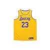 LeBron James Edição Ícone Swingman Los Angeles Lakers Amarelo Masculino AA7099-741
