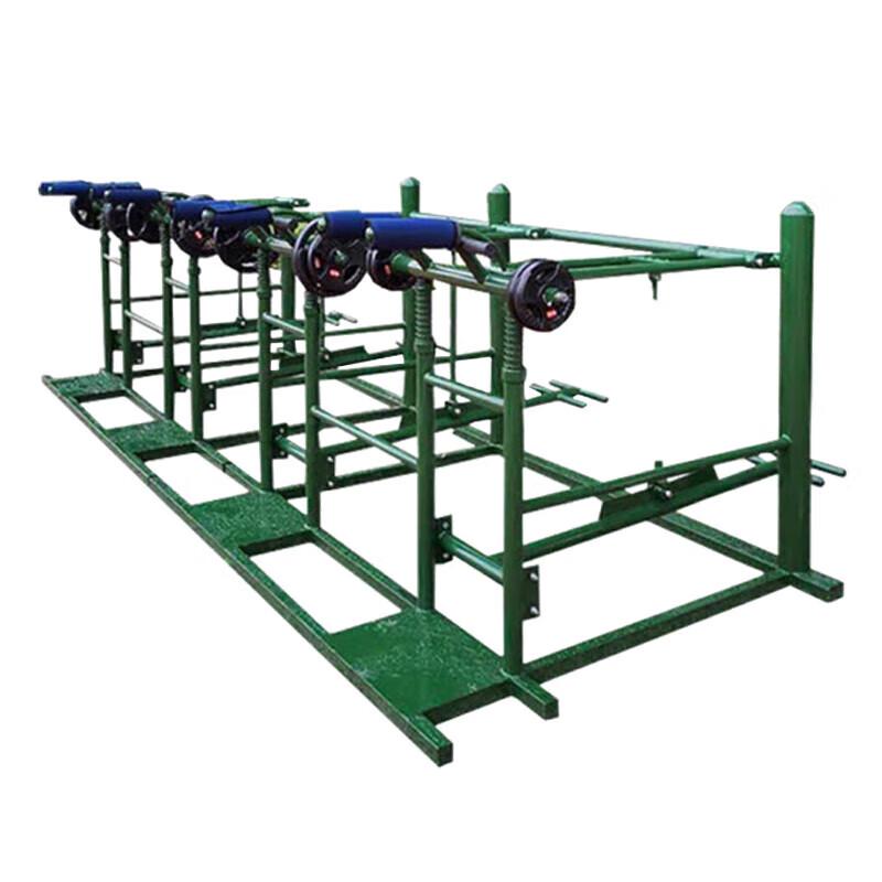 Outdoor Squat Power Combination Trainer